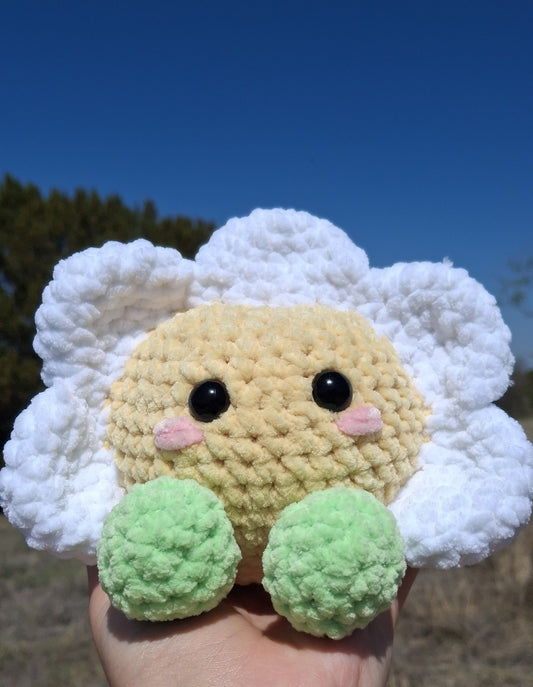 Daisy Dude